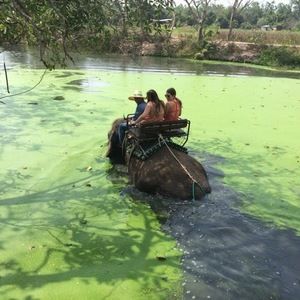 Meet your Posher, Natalia